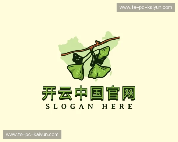 了解开云体育官网